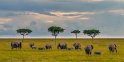 129 Masai Mara, olifanten